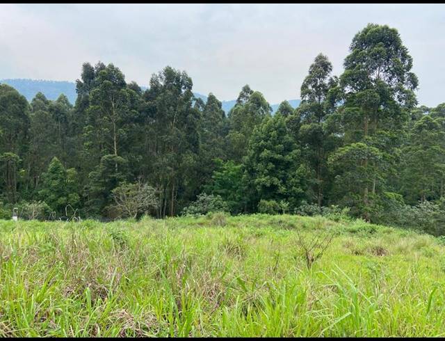 LAND FOR SALE IN MONTROSE